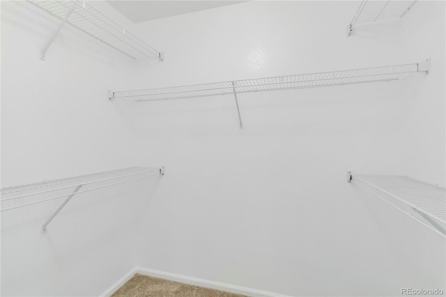 1526 Braewood Ave, Littleton, CO 80129 - walk in closet featuring carpet floors