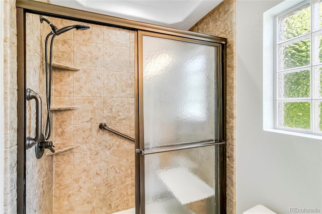 1526 Braewood Ave, Littleton, CO 80129 - bathroom featuring a shower stall and toilet