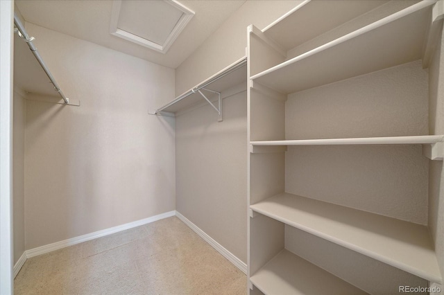 walk in closet featuring carpet floors