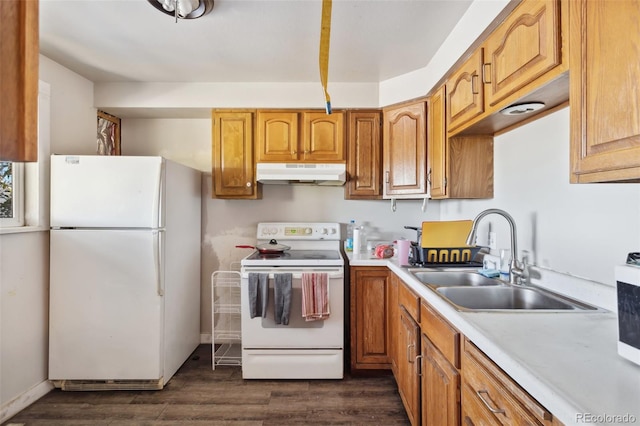 kitchen with sink, white appliances, and dark wood-type flooring