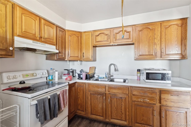 kitchen featuring dark hardwood / wood-style flooring, white range with electric cooktop, and sink