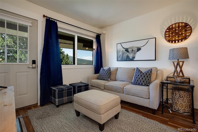 3295 Apres Ski Way Unit B9, Steamboat Springs, CO 80487 - living area with wood finished floors