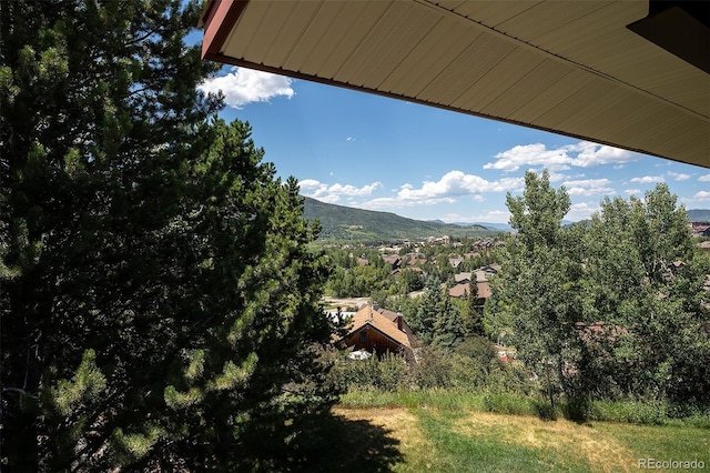 3295 Apres Ski Way Unit B9, Steamboat Springs, CO 80487 - mountain view