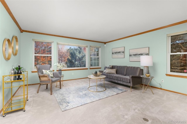 living room with crown molding and light carpet