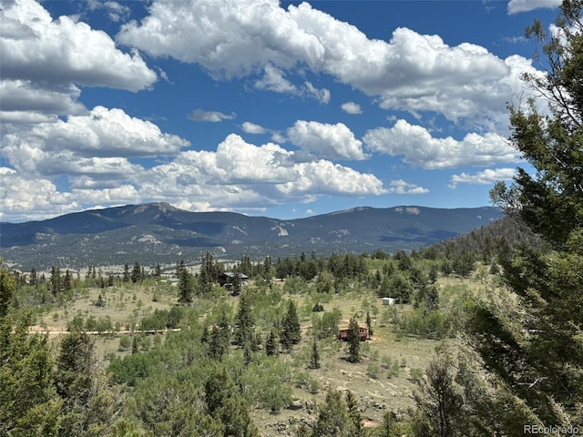 2138 Overland Cir, Jefferson, CO 80456 - photo 29