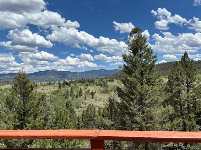 2138 Overland Cir, Jefferson, CO 80456 - photo 34