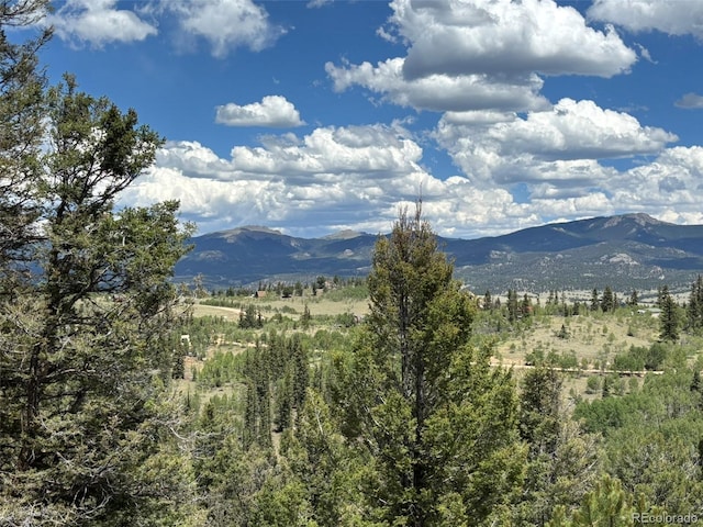 2138 Overland Cir, Jefferson, CO 80456 - photo 35