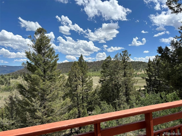 2138 Overland Cir, Jefferson, CO 80456 - photo 36