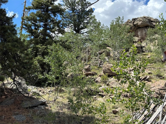 2138 Overland Cir, Jefferson, CO 80456 - photo 37