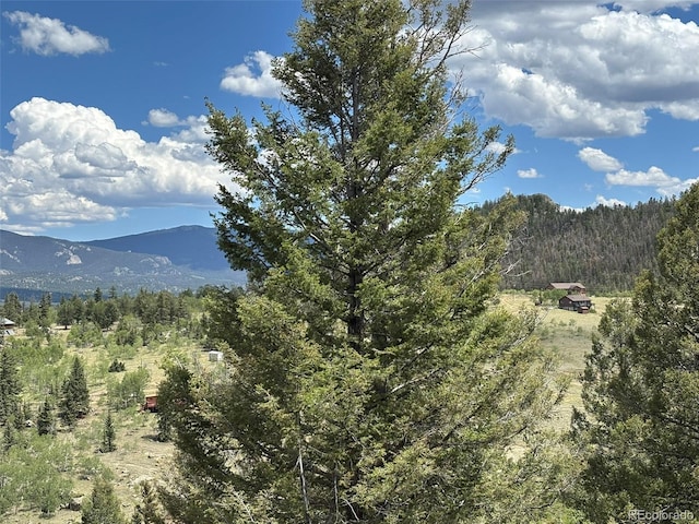 2138 Overland Cir, Jefferson, CO 80456 - photo 39
