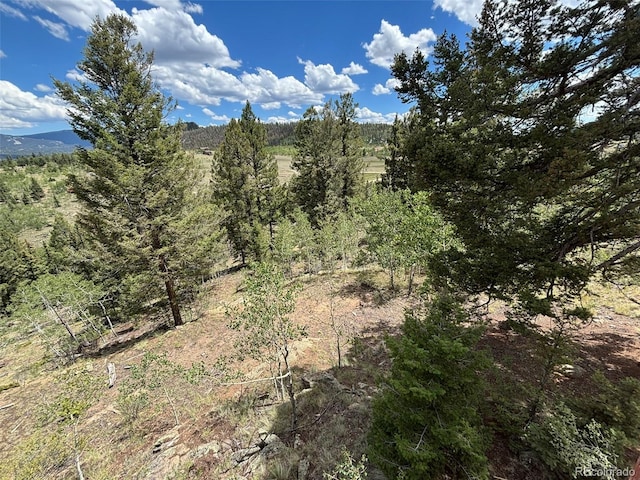 2138 Overland Cir, Jefferson, CO 80456 - photo 41