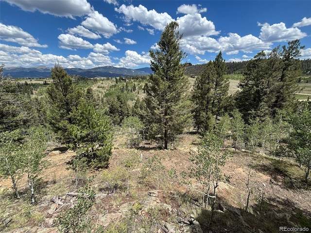 2138 Overland Cir, Jefferson, CO 80456 - photo 42
