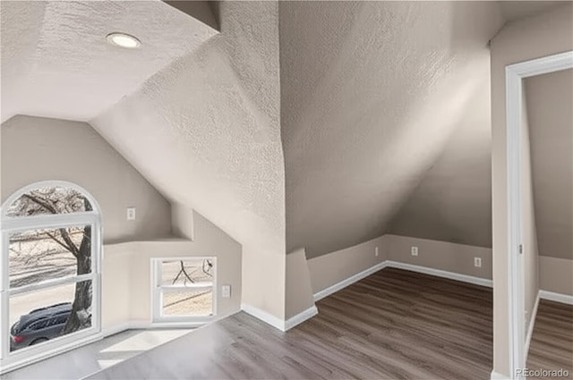 1021 Lake Ave, Pueblo, CO 81004 - bonus room with a textured ceiling, wood finished floors, lofted ceiling, healthy amount of natural light, and baseboards