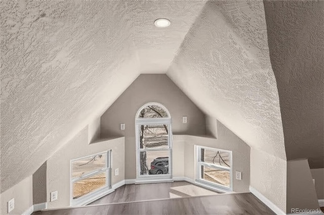 1021 Lake Ave, Pueblo, CO 81004 - additional living space with a textured ceiling, wood finished floors, vaulted ceiling, a textured wall, and baseboards