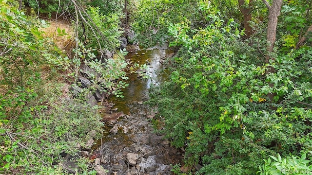 view of local wilderness featuring a view of trees