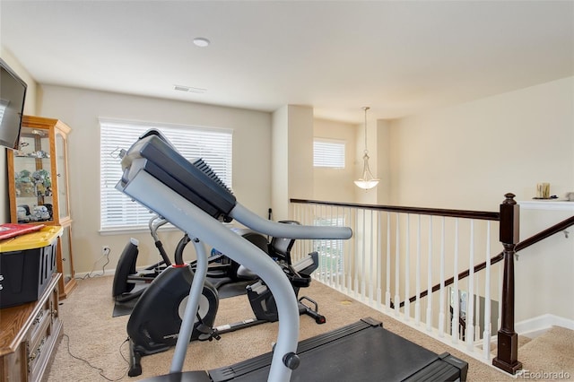 24351 E Alamo Dr, Aurora, CO 80016 - exercise area with baseboards and light carpet