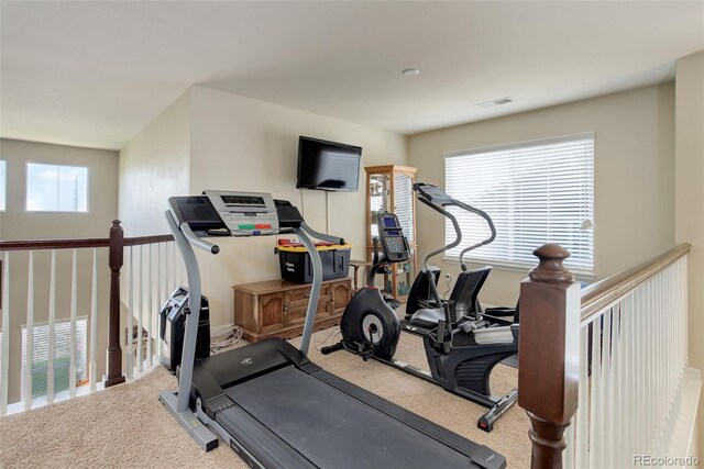 24351 E Alamo Dr, Aurora, CO 80016 - exercise room with carpet flooring and healthy amount of natural light