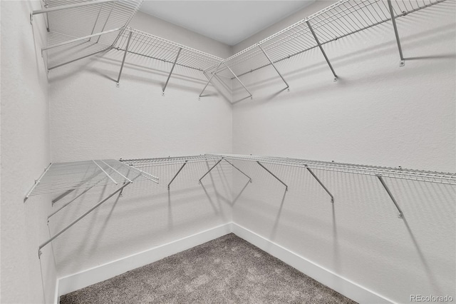 2005 Nelson St, Lakewood, CO 80215 - photo 27