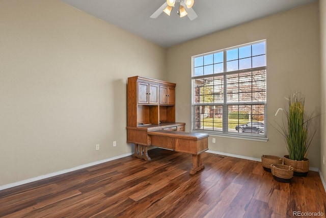 office featuring ceiling fan and dark hardwood / wood-style flooring