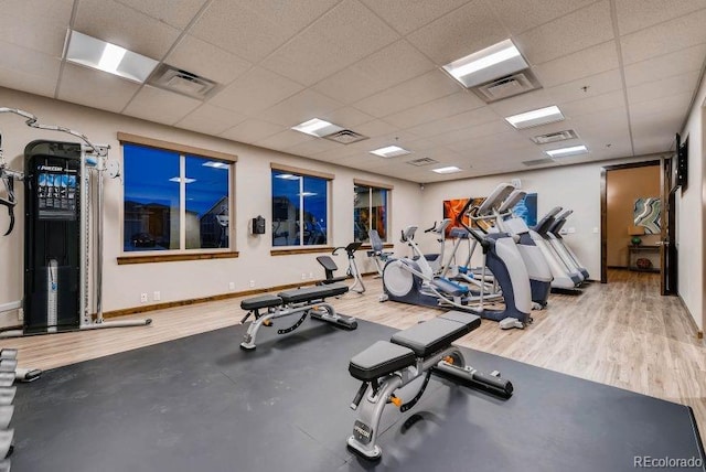 exercise room with a drop ceiling and hardwood / wood-style floors