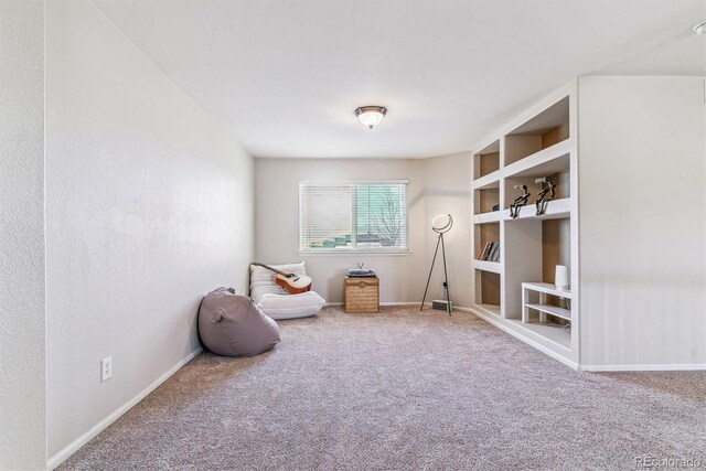 9109 Ironwood Way, Highlands Ranch, CO 80129 - playroom with carpet, baseboards, and built in shelves