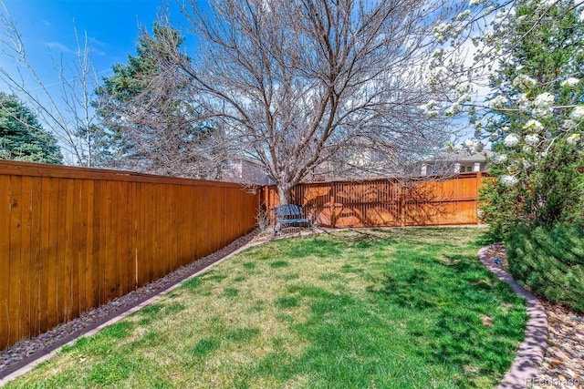 9109 Ironwood Way, Highlands Ranch, CO 80129 - view of yard featuring a fenced backyard