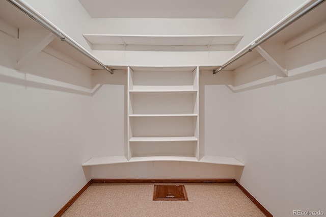 spacious closet with carpet floors
