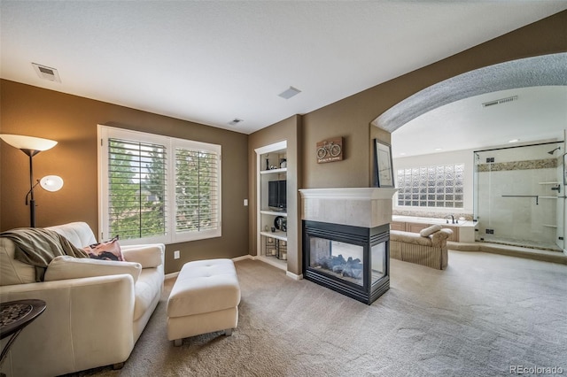 19676 E Pinewood Dr, Aurora, CO 80016 - living area featuring carpet, plenty of natural light, a multi sided fireplace, and built in features