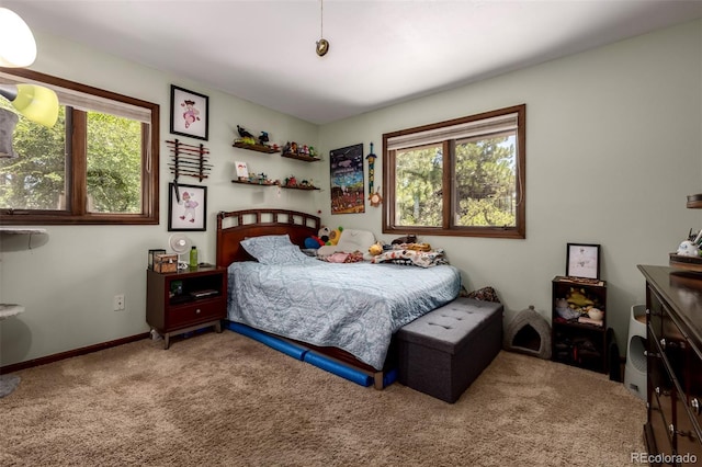 8223 Burning Tree Dr, Franktown, CO 80116 - photo 11