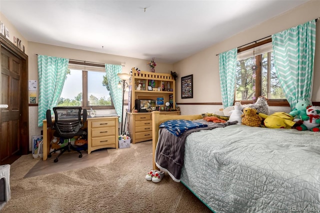 8223 Burning Tree Dr, Franktown, CO 80116 - photo 12