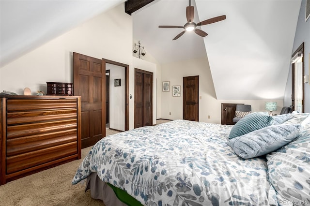 8223 Burning Tree Dr, Franktown, CO 80116 - photo 18
