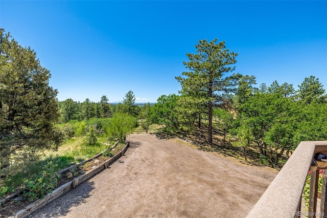 8223 Burning Tree Dr, Franktown, CO 80116 - photo 29