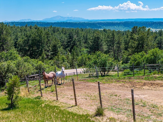 8223 Burning Tree Dr, Franktown, CO 80116 - photo 47