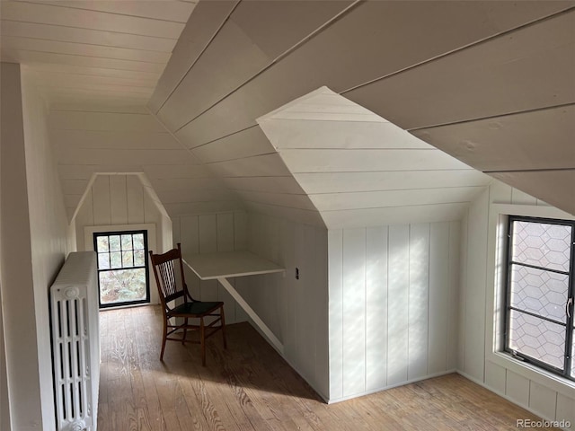 additional living space featuring lofted ceiling, hardwood / wood-style floors, and radiator
