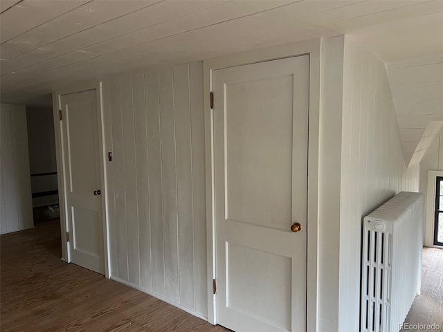 closet with radiator heating unit