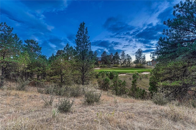 7998 Forest Keep Cir, Parker, CO 80134 - photo 1