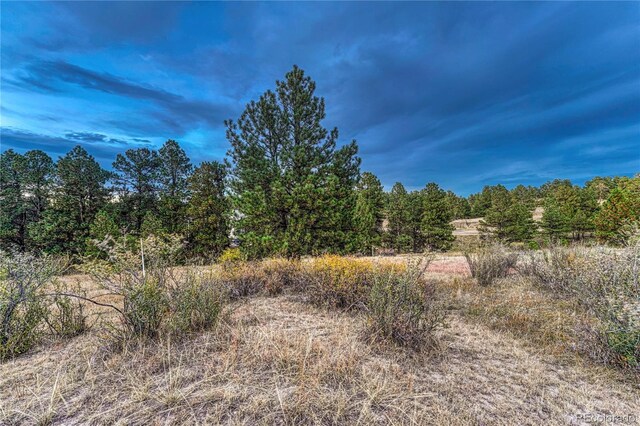 7998 Forest Keep Cir, Parker, CO 80134 - photo 10