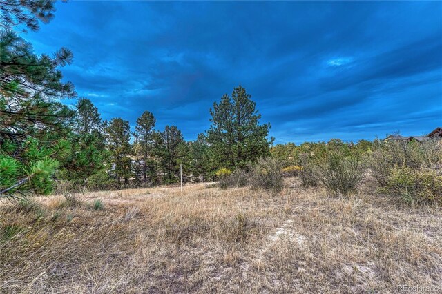 7998 Forest Keep Cir, Parker, CO 80134 - photo 11