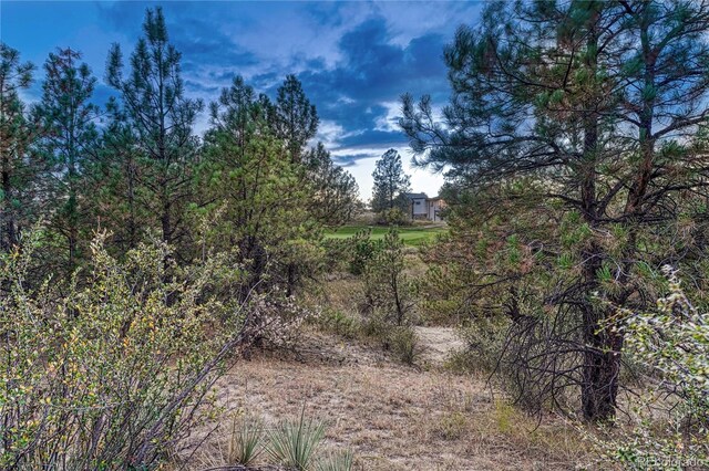 7998 Forest Keep Cir, Parker, CO 80134 - photo 12
