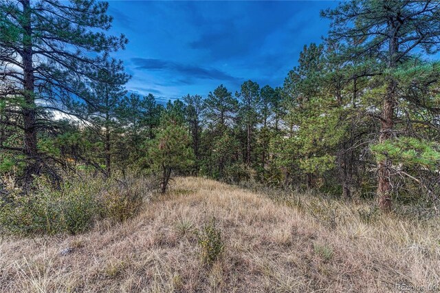 7998 Forest Keep Cir, Parker, CO 80134 - photo 13
