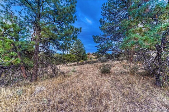 7998 Forest Keep Cir, Parker, CO 80134 - photo 14