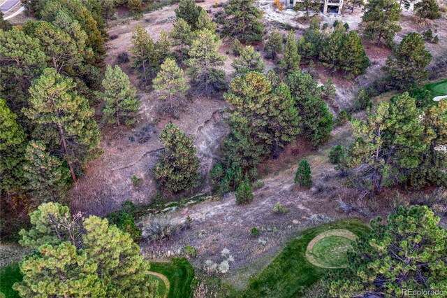 7998 Forest Keep Cir, Parker, CO 80134 - photo 25