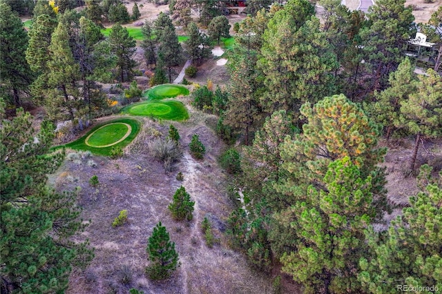 7998 Forest Keep Cir, Parker, CO 80134 - photo 26