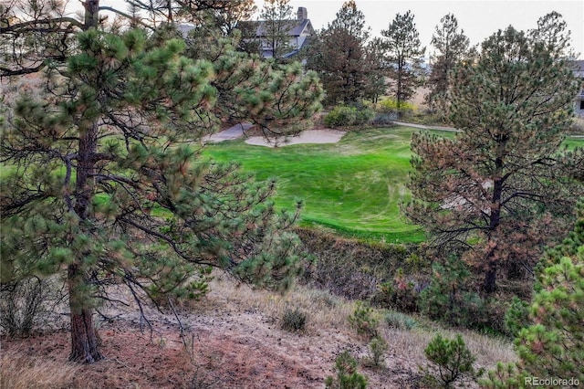 7998 Forest Keep Cir, Parker, CO 80134 - photo 31