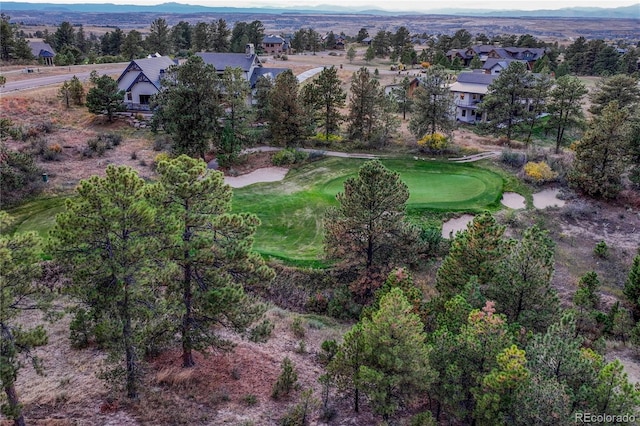 7998 Forest Keep Cir, Parker, CO 80134 - photo 32