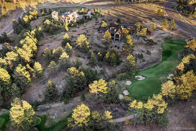 7998 Forest Keep Cir, Parker, CO 80134 - photo 36
