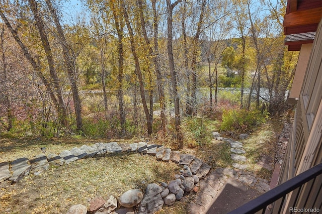 44 Canyon Ct, Eagle, CO 81631 - view of yard featuring a forest view