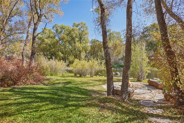 44 Canyon Ct, Eagle, CO 81631 - view of green lawn