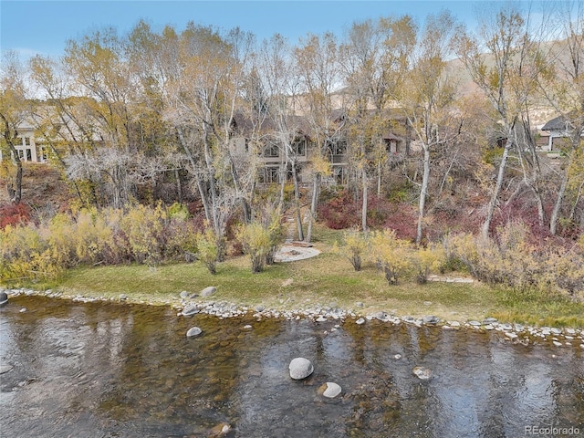 44 Canyon Ct, Eagle, CO 81631 - water view