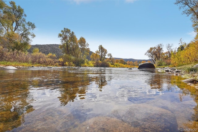 44 Canyon Ct, Eagle, CO 81631 - water view featuring a forest